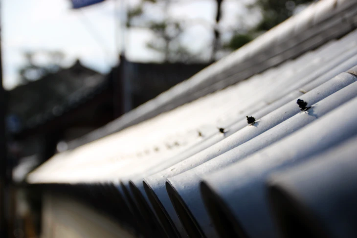Scène extérieure montrant une toiture résidentielle avec gouttière blanche en PVC ou aluminium